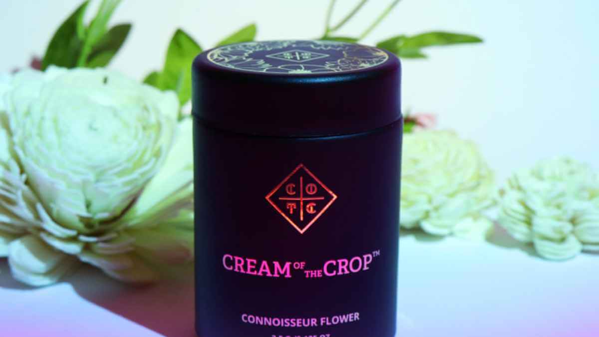 An 8th of the Biscotti strain from Cream of the Crop, a cross of the Gelato 25 strain with the Sour Florida OG strain.