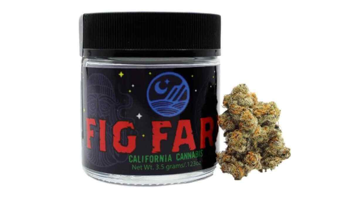 One of the best strains of 2023, the Blue Face strain, a cross of Face Off OG strain and Animal Mints strain from Fig Farms.