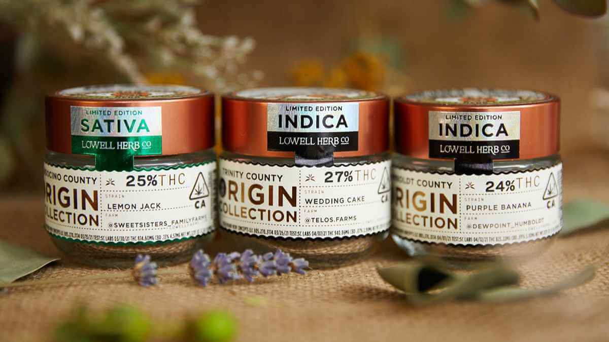 Three different strains of Lowell Farms, including the Purple Banana strain, Wedding Cake strain and Lemon Jack strain.