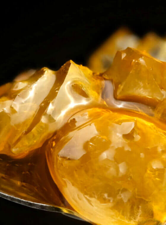 A close up shot of live rosin from Almora Farms. Live rosin is made through a combination of heat and pressure to squeeze the cannabis resin from the plant material. Photo by Almora