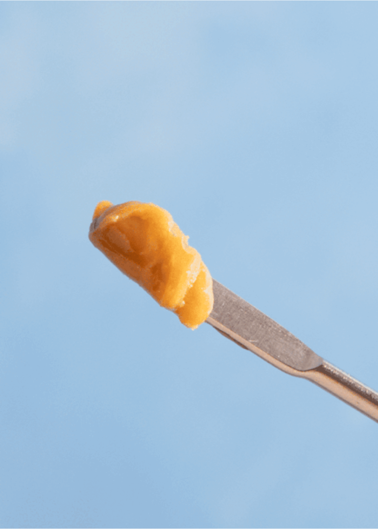 A close up shot of live rosin from Almora Farms. Live rosin is made through a combination of heat and pressure to squeeze the cannabis resin from the plant material. Photo by Almora
